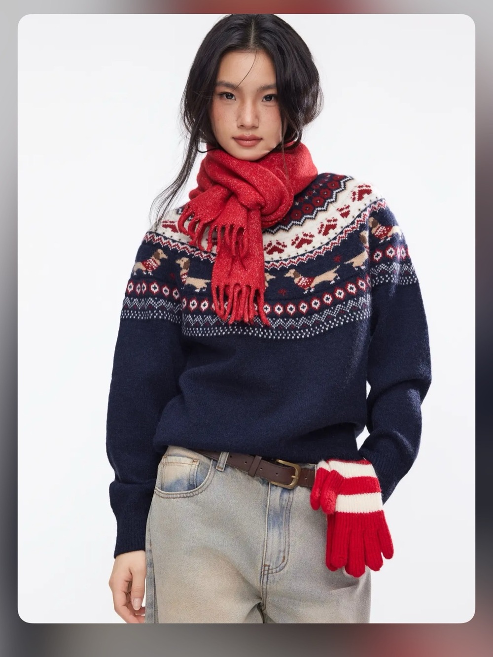 DACHSHUND DETAIL ROUND NECKLINE OVERSIZED SWEATER Xl wc13-11